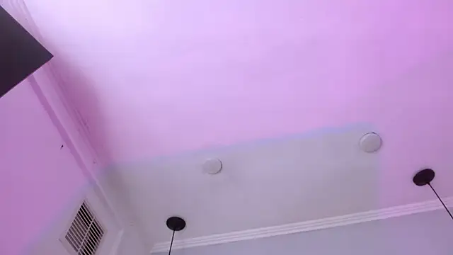 Santiago_Ortiz_: διαδικτυακό σόου στην κάμερα