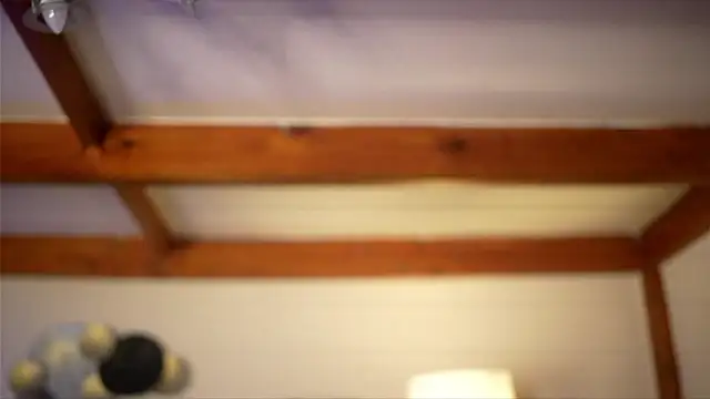 Chatroom XXX en direct de Bellis_Perenis