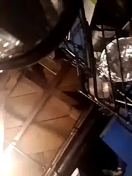 Whipit323 webcam show