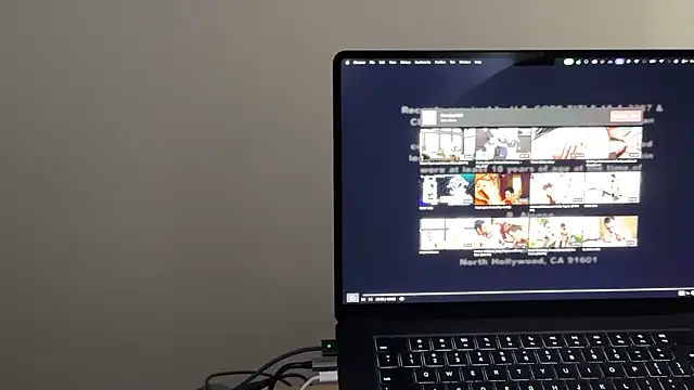 adelaide2026 Pertunjukan Webcam