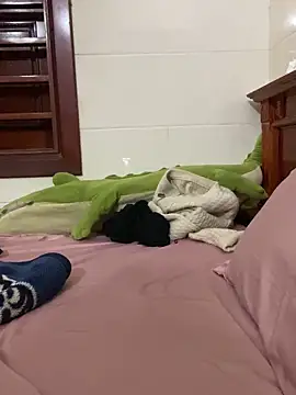 Phale2x 网络视讯表演