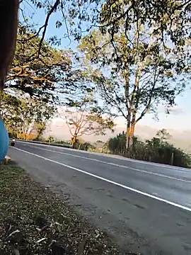 maleja_smmith Live XXX-Chat