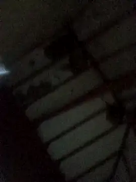 แชท XXX สดของ hairy_mannn