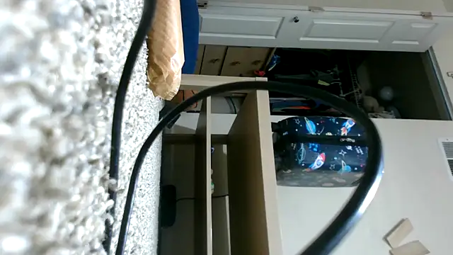 Renee_the_Anal_Slut – Kamerová šou