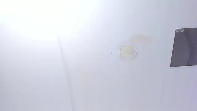 Cleopatra_Trans 라이브 XXX 채팅