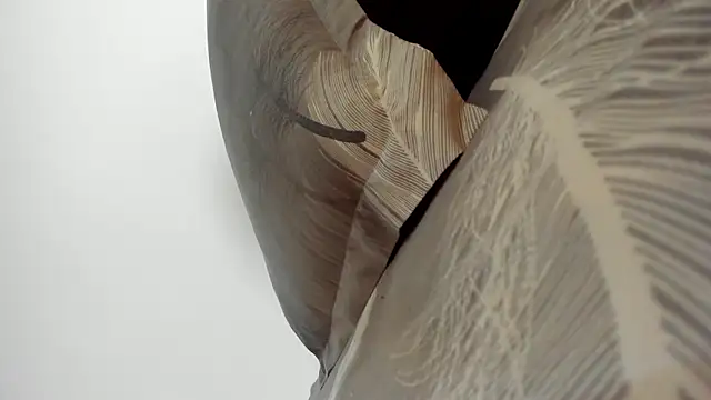 Angell-Sky Webcam show