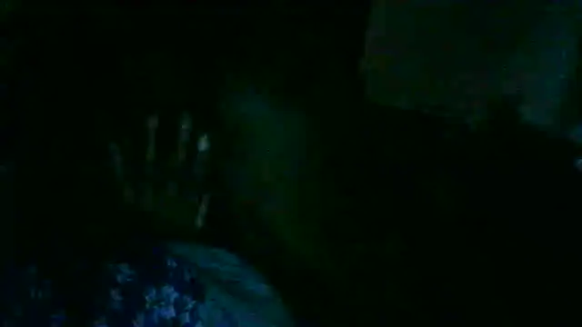 GUAPAN3S3_FIR3n Webbikameraesitys