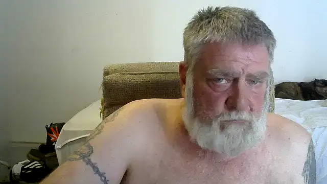 viejo_oso Pertunjukan Webcam