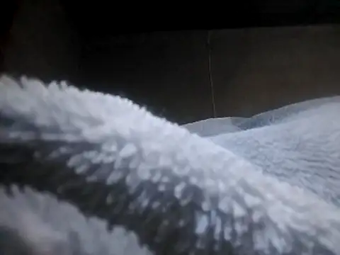 Show de webcam de LaneYam