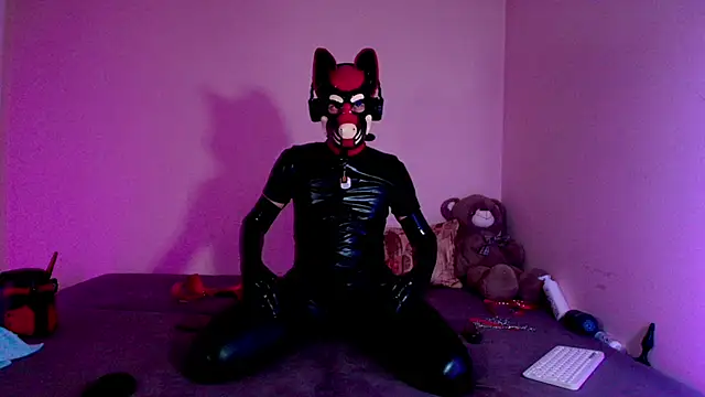 K9_GoodBoyのウェブカメラショー