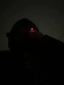 Show webcam de ch31285