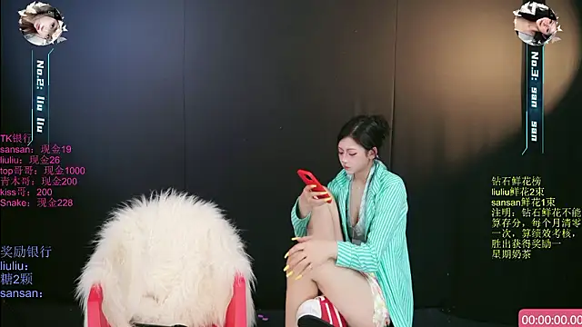 Show modela MHe-002 na web-kameri