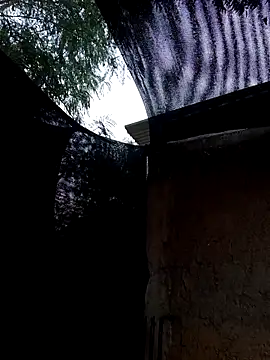 Chat +18 de young_dairy01 ao vivo