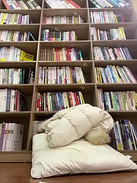 littleqiuのライブXXXチャット