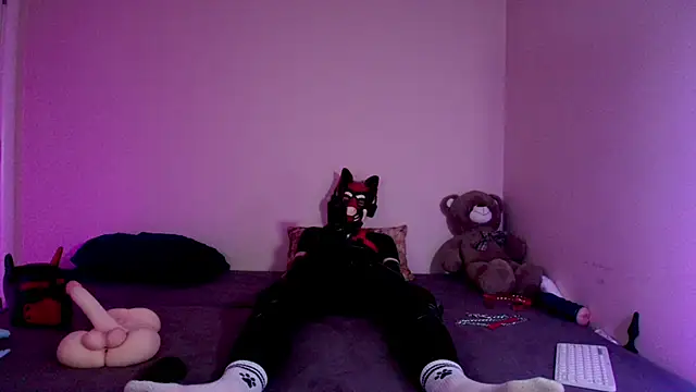 K9_GoodBoy Show Webcam