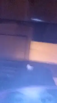 Chat XXX Live saray_reesee