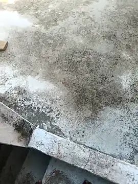 Desii_rockstarr's Live XXX Chat