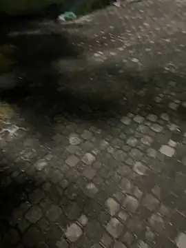 Show de joel852 na webcam