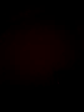 frank08011 – webcam-show