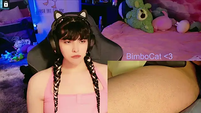 BimboCat Webcam show