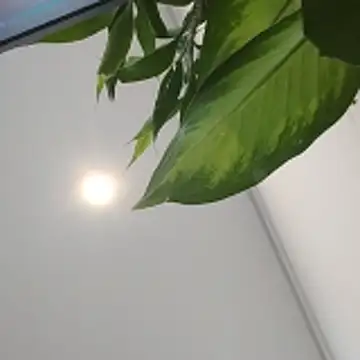 ialnuyoa_h Live XXX Chat