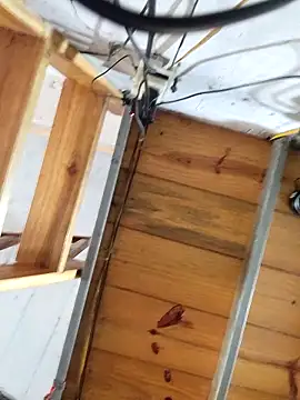 Webkamerová show Deptraidatinh