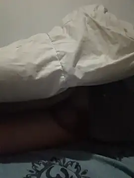 Yasgo1n Webbikameraesitys