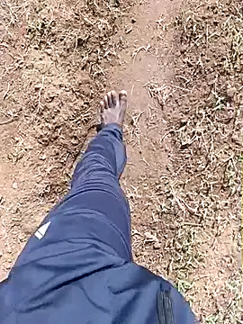 dolphiinn: διαδικτυακό σόου στην κάμερα