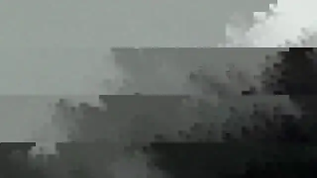 Show Webcam de ARCHERTASTE