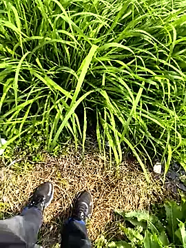 huzi518 라이브 XXX 채팅