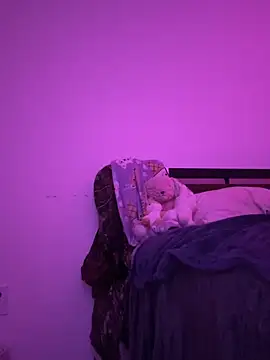 missaIittIesadomasochist Live XXX-chat