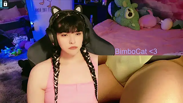 BimboCat webkamerás műsora