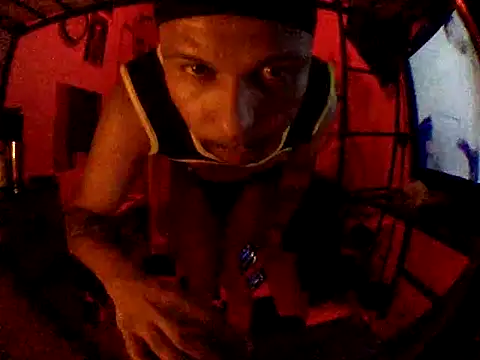 BottomVersVe02 – Kamerová šou