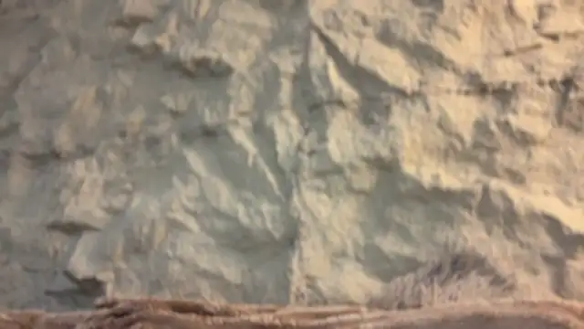 GenesisCastillano 即時 XXX 聊天