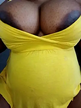 Show de webcam de PervertPreggy