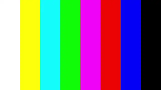 Chat XXX ao vivo de JanelBitther