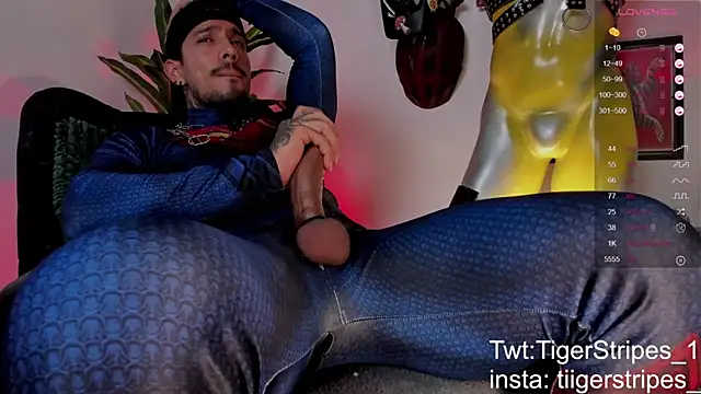 TigerStripes1_ 网络视讯表演