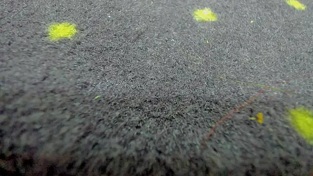 AishaRouhi ওয়েবক্যাম শো