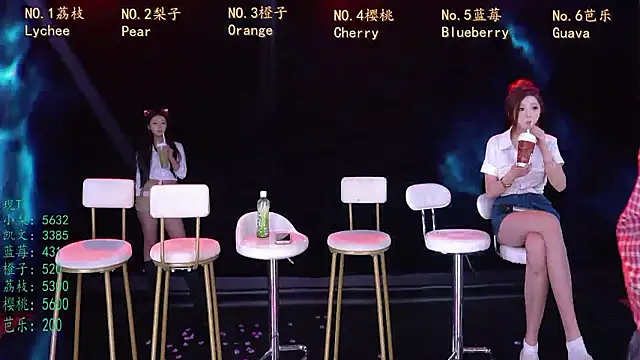 SG-0310のウェブカメラショー