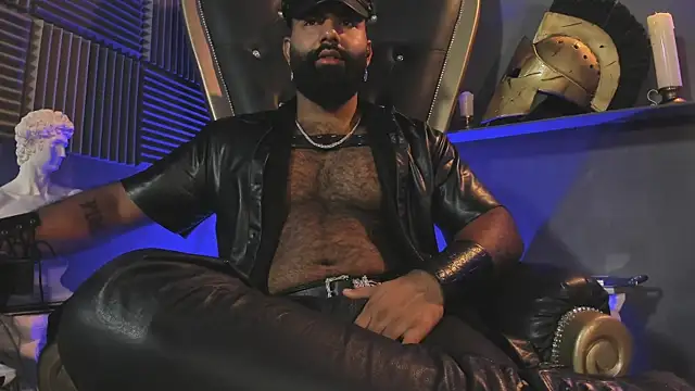 BeardAndrew Show Webcam