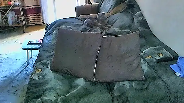 sex2's Live XXX Chat