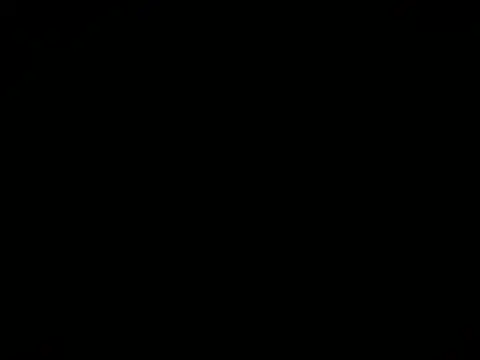 busetarsus_ 라이브 XXX 채팅