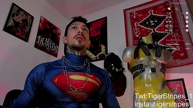 TigerStripes1_ 现场XXX聊天