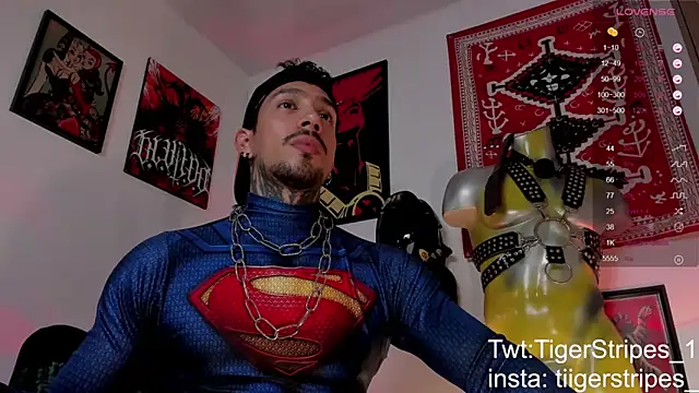 TigerStripes1_ Pertunjukan Webcam