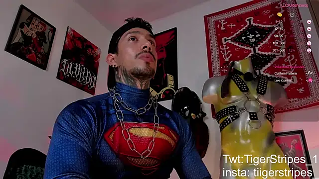 TigerStripes1_'s Live XXX Chat