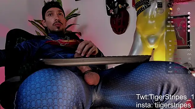 TigerStripes1_ Webcam-Show