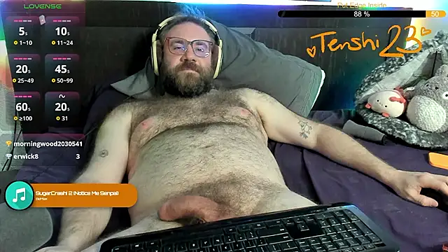 Show webcam de tenshi23strip