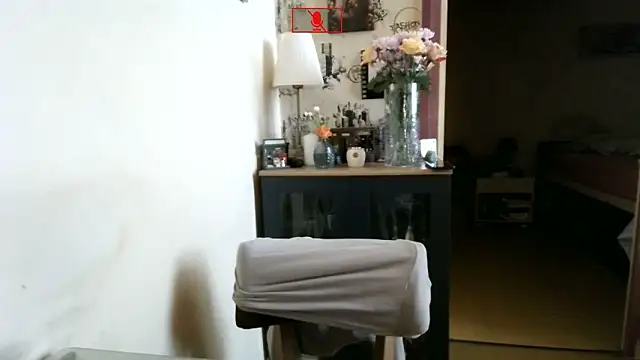 Hgay6935 网络视讯表演