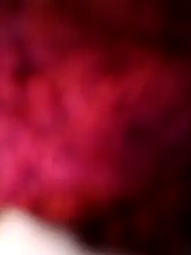 Živý XXX chat bimexpoexist