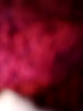 Pokazy przed kamerką – bimexpoexist